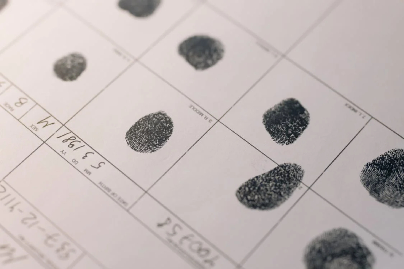 How Long Do Fingerprints Last on Paper?